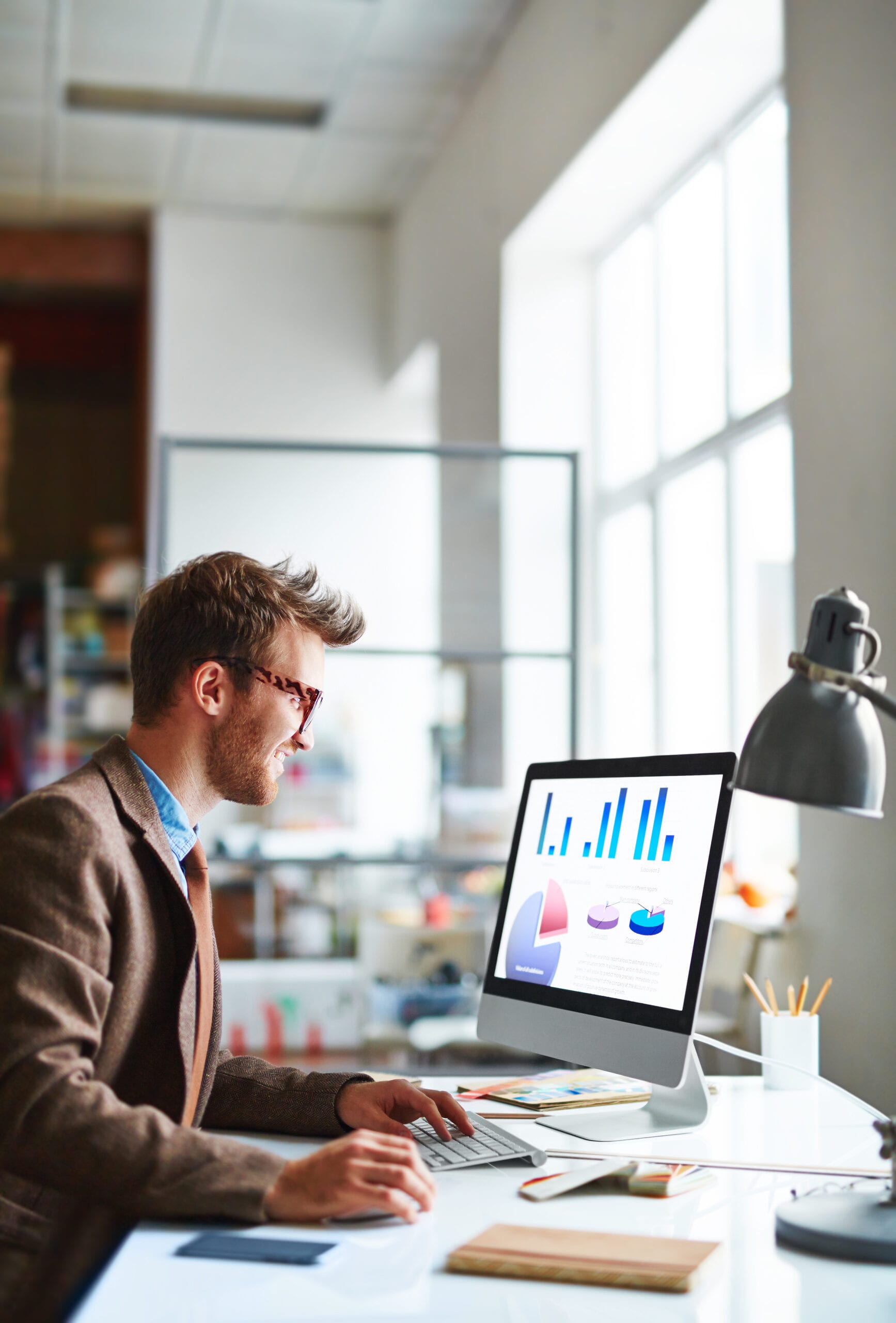 Business Snapshot Tool